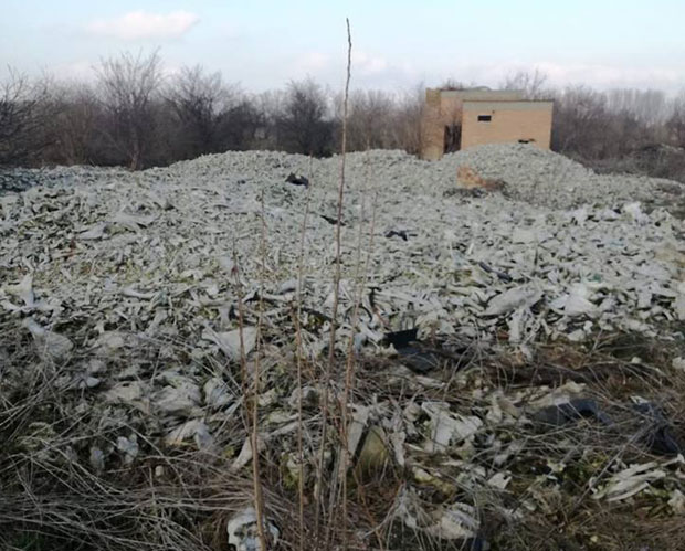 У Падинској скели леже тоне костију